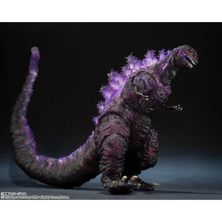 【預訂】Bandai - S.H.MonsterArts 《真·哥斯拉》哥斯拉 -海報套裝