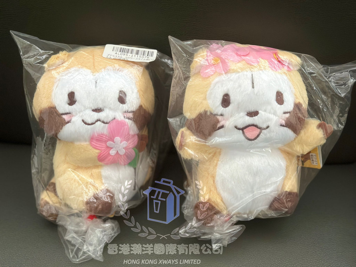 日本直送 可愛 Rascal 拉斯卡爾 小浣熊 16CM 2款選
