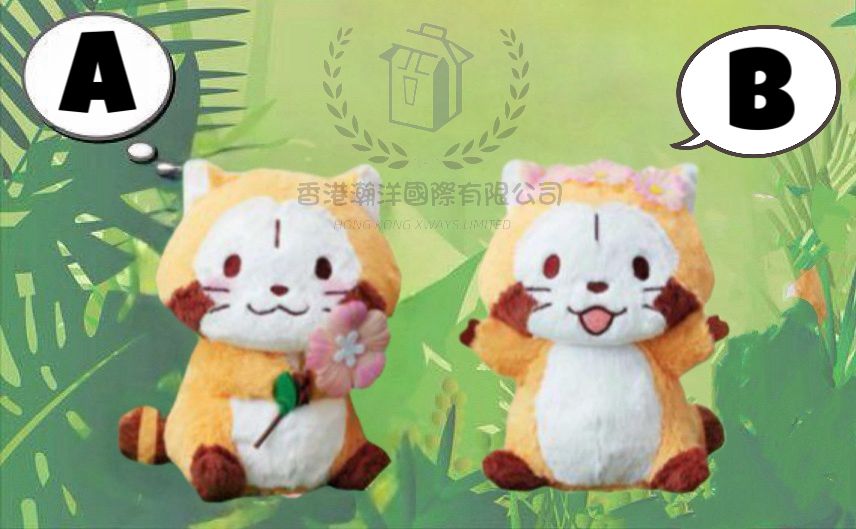 日本直送 可愛 Rascal 拉斯卡爾 小浣熊 16CM 2款選