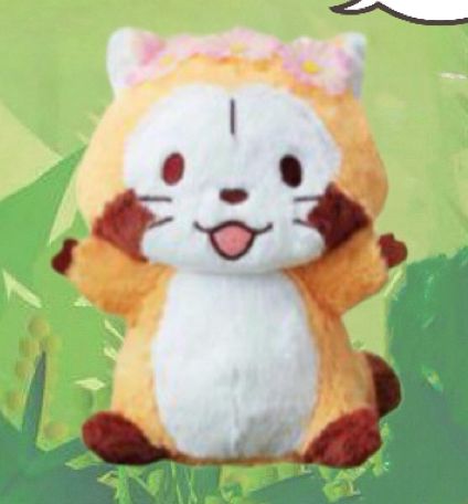 日本直送 可愛 Rascal 拉斯卡爾 小浣熊 16CM 2款選