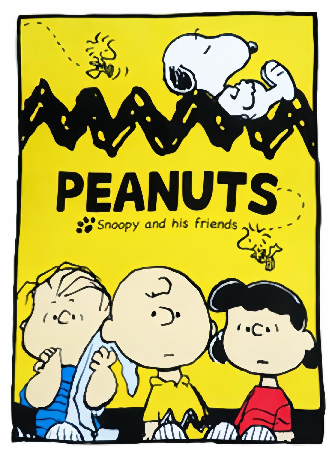 PEANUTS SNOOPY and his friends BLANKET 史努比和朋友 超大毛毯