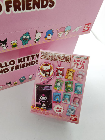 Bandai SANRIO 迷你吊飾 收藏 Mini Keychain Wave 1盲盒 指定款